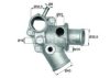 FIAT 7718184 Thermostat, coolant